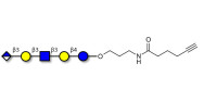 Glucuronyl-Lacto-N-tetraose with terminal alkyne (Linker-CΞCH C)