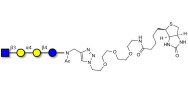Globotetraose (Gb4) analogue linked to biotin (Linker-BT A)