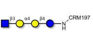 Globotetraose (Gb4) analogue grafted on CRM197