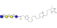 Globotetraose (Gb4) analogue linked to desthiobiotin (Linker-DBT-A)