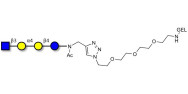 Globotetraose (Gb4) analogue grafted on gel for affinity chromatography (Linker-GEL A)