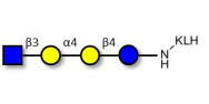 Globotetraose (Gb4) analogue grafted on KLH