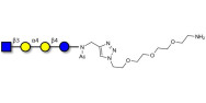Globotetraose (Gb4) analogue with free terminal amine (Linker-NH2 B)