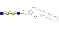 Globotetraose (Gb4) analogue with free terminal amine (Linker-NH2 C)