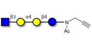 Globotetraose (Gb4) analogue with terminal alkyne (Linker-CΞCH A)