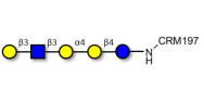 Globopentaose (Gb5) analogue type 1 grafted on CRM197