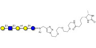 Globopentaose (Gb5) analogue type 1 linked to desthiobiotin (Linker-DBT-A)
