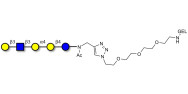 Globopentaose (Gb5) analogue type 1 grafted on gel for affinity chromatography (Linker-GEL A)
