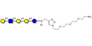 Globopentaose (Gb5) analogue type 1 with free terminal amine (Linker-NH2 B)