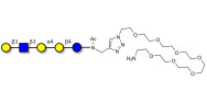 Globopentaose (Gb5) analogue type 1 with free terminal amine (Linker-NH2 C)