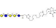 Globopentaose (Gb5) analogue type 2 linked to biotin (Linker-BT A)