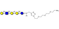 Globopentaose (Gb5) analogue type 2 with free terminal amine (Linker-NH2 B)