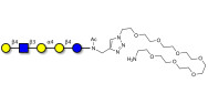 Globopentaose (Gb5) analogue type 2 with free terminal amine (Linker-NH2 C)