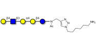 Globopentaose (Gb5) analogue type 2 with free terminal amine (Linker-NH2 D)