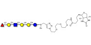 Globo-H analogue type 1 linked to biotin (Linker-BT A)