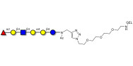 Globo-H analogue type 1 grafted on gel for affinity chromatography (Linker-GEL A)