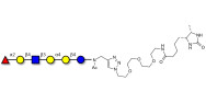 Globo-H analogue type 2 linked to desthiobiotin (Linker-DBT-A)
