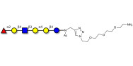 Globo-H analogue type 2 with free terminal amine (Linker-NH2 B)