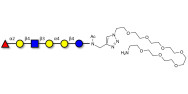 Globo-H analogue type 2 with free terminal amine (Linker-NH2 C)