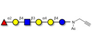 Globo-H analogue type 2 with terminal alkyne (Linker-CΞCH A)