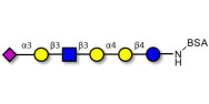 Stage-Specific Embryonic Antigen-4 (SSEA-4) hexaose analogue type 1 grafted on BSA
