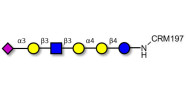 Stage-Specific Embryonic Antigen-4 (SSEA-4) hexaose analogue type 1 grafted on CRM197