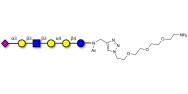 Stage-Specific Embryonic Antigen-4 (SSEA-4) hexaose analogue type 1 with free terminal amine (Linker-NH2 B)
