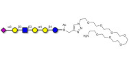 Stage-Specific Embryonic Antigen-4 (SSEA-4) hexaose analogue type 1 with free terminal amine (Linker-NH2 C)