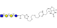 Isoglobotetraose (iGb4) analogue linked to biotin (Linker-BT A)