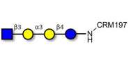 Isoglobotetraose (iGb4) analogue grafted on CRM197