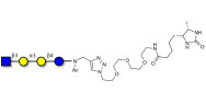 Isoglobotetraose (iGb4) analogue linked to desthiobiotin (Linker-DBT-A)