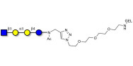 Isoglobotetraose (iGb4) analogue grafted on gel for affinity chromatography (Linker-GEL A)