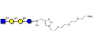 Isoglobotetraose (iGb4) analogue with free terminal amine (Linker-NH2 B)