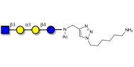 Isoglobotetraose (iGb4) analogue with free terminal amine (Linker-NH2 D)