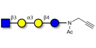 Isoglobotetraose (iGb4) analogue with terminal alkyne (Linker-CΞCH A)