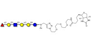 Isoglobo-H analogue type 1 linked to biotin (Linker-BT A)