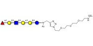 Isoglobo-H analogue type 1 grafted on gel for affinity chromatography (Linker-GEL A)