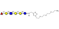 Isoglobo-H analogue type 1 with free terminal amine (Linker-NH2 B)