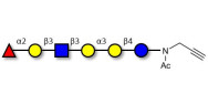 Isoglobo-H analogue type 1 with terminal alkyne (Linker-CΞCH A)