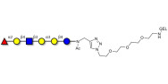 Isoglobo-H analogue type 2 grafted on gel for affinity chromatography (Linker-GEL A)