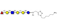 Isoglobo-H analogue type 2 with free terminal amine (Linker-NH2 D)
