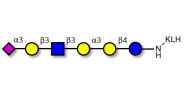 Sialylated isoglobopentaose (Sialylated iGb5) analogue type 1 grafted on KLH
