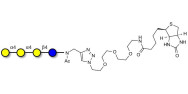 Galactosyl Globotriose (Gal-Gb3) linked to biotin (Linker-BT A)