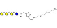 Galactosyl Globotriose (Gal-Gb3) grafted on gel for affinity chromatography (Linker-GEL A)
