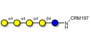 Galα1-4Galα1-4-Globotriose grafted on CRM197