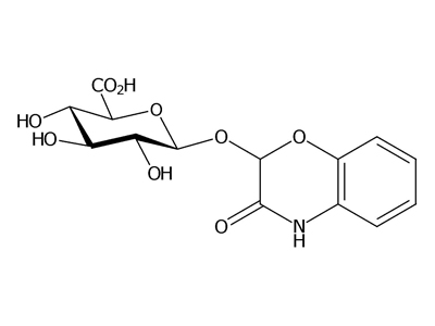 2-β-D-Glucuronopyranosyloxy-1,4-benzoxazin-3-one