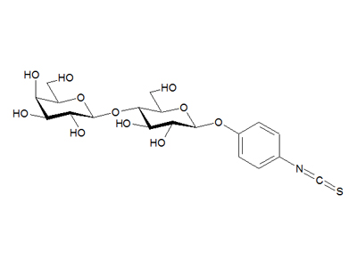 4-Isothiocyanatophenyl β-D-lactoside