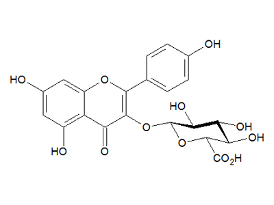 Kaempferol 3-O-β-D-glucuronide