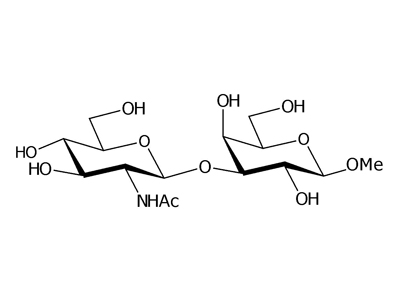 Methyl 3-O-(2-acetamido-2-deoxy-β-D-glucopyranosyl)-β-D-galactopyranoside