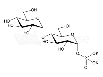 α-D-Maltose 1-phosphate dipotassium salt